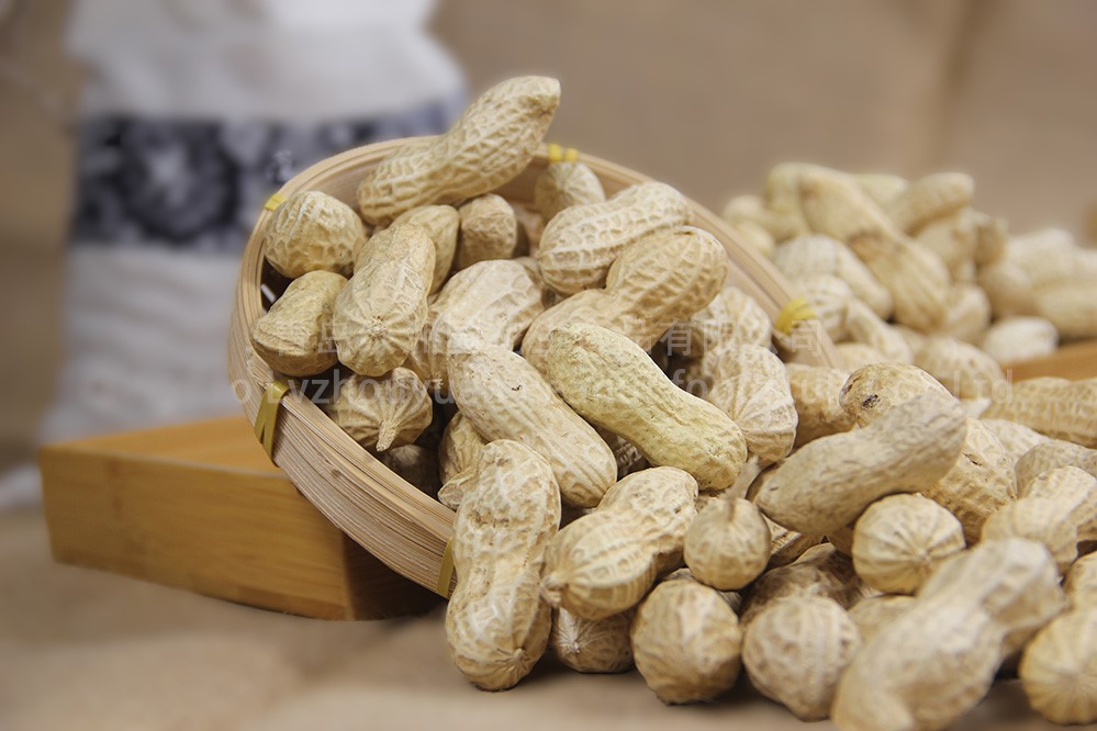 Roasted Peanuts in Shell 1Kg