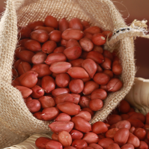 Roasted Four-Grain Red 60/70