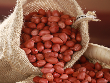 Roasted Four-Grain Red 60/70